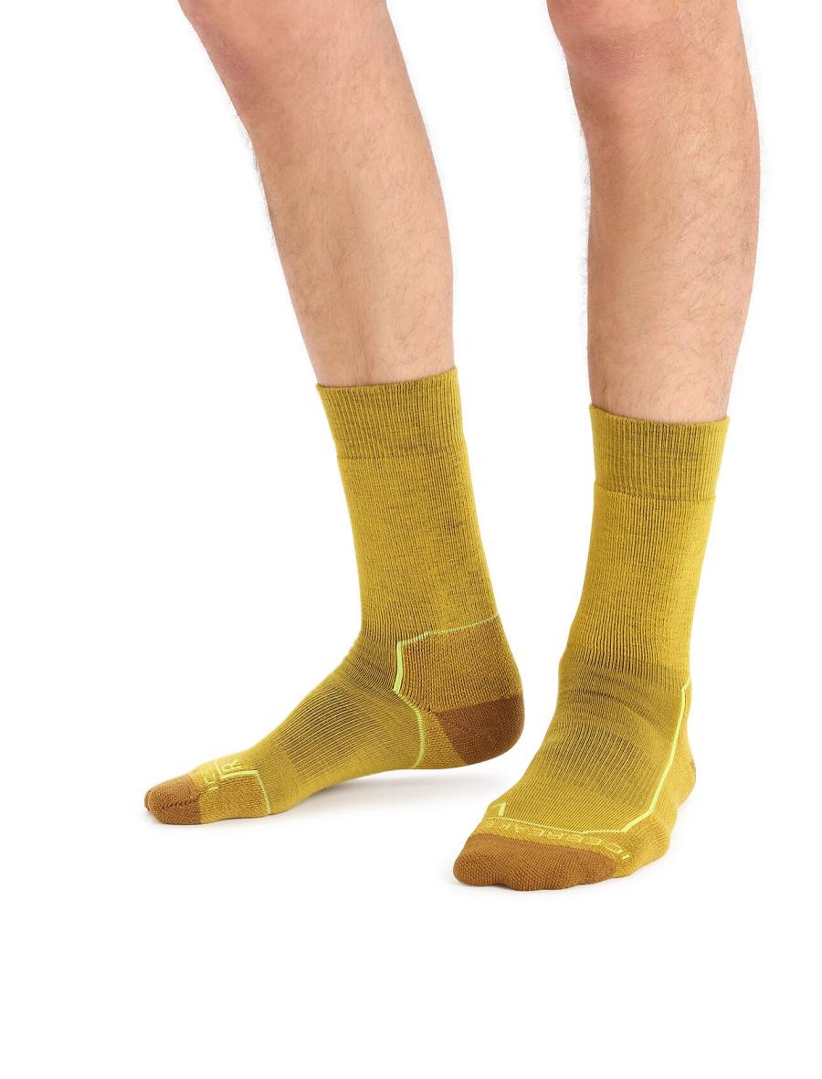 Men's Icebreaker Merino Hike+ Medium Crew Socks Silent Gold / Clove | CA 1925BEXC